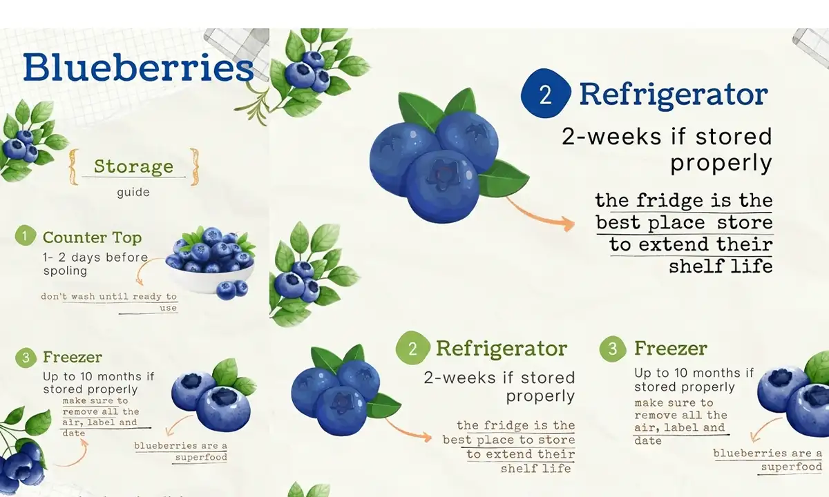 How Long Can I Keep Blueberries in the Fridge